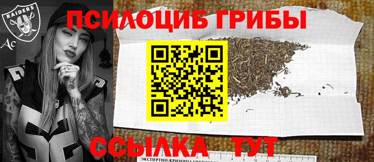 продажа наркотиков  Псилоцибиновые грибы Psilocybe  Псилоцибиновые грибы Magic Shrooms  Вход с VPN  Сарапул 