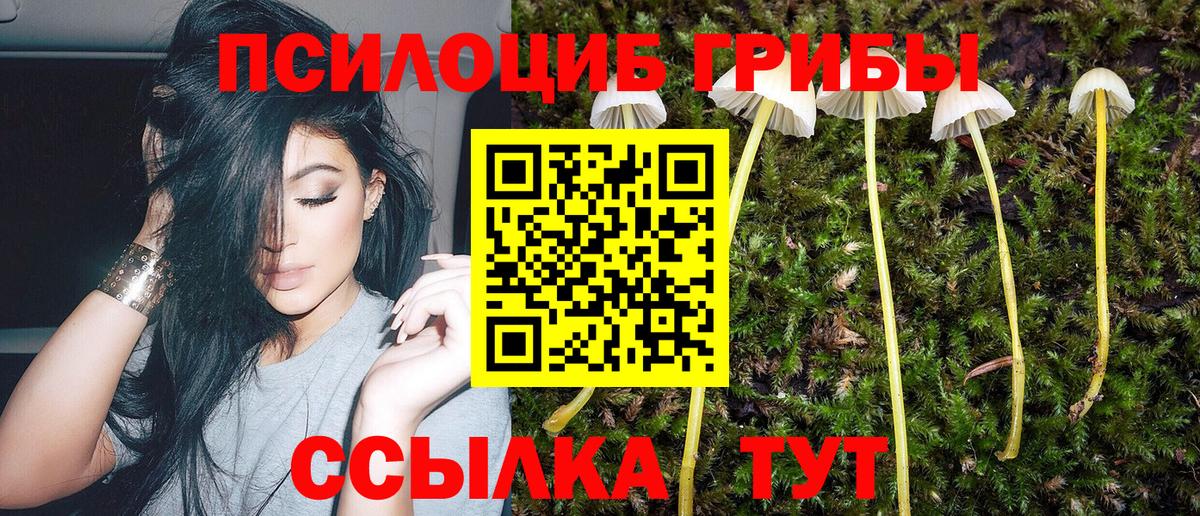 Галлюциногенные грибы MAGIC MUSHROOMS Сарапул